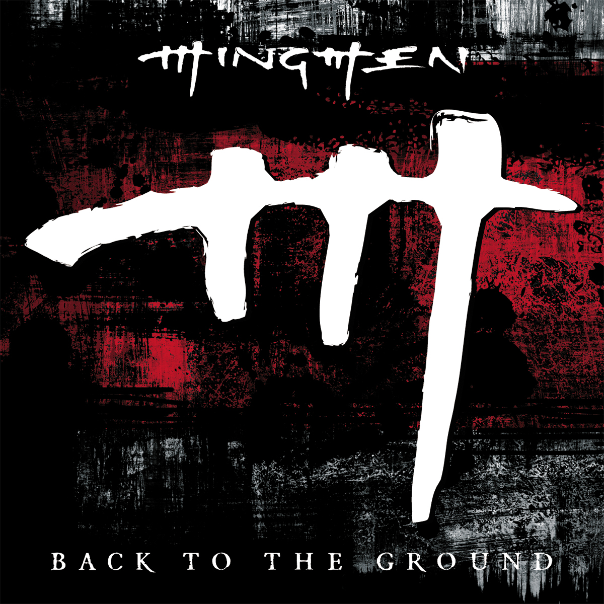 pochette albumBack To The Ground 2009